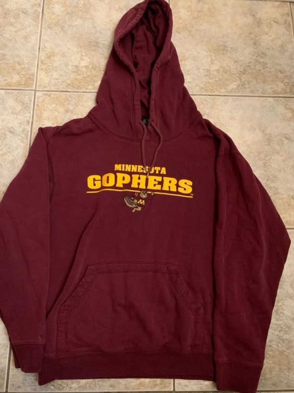 Vintage Minnesota Golden Gophers Hoodie University Sz XS Y2k